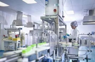 長春這次太高調 28件大事改變每一個長春人的生活