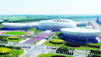 長春 奧體之花 即將全面綻放