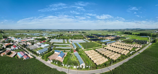 長春市現代菌物產業科技成果轉化示范基地揭牌，首屆中國（長春）靈芝孢子粉采收節盛大啟幕