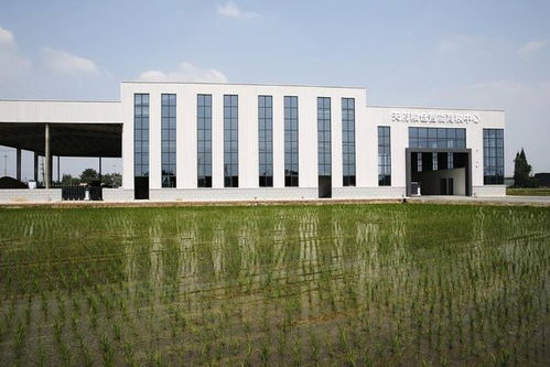 天府糧心 育秧從田間搬到廠里，秧苗從高科技‘育嬰室’出芽長春科技