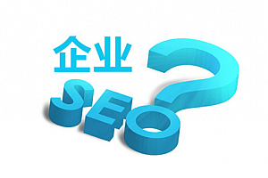 網站建設與軟件服務 數字化時代的兩大驅動力